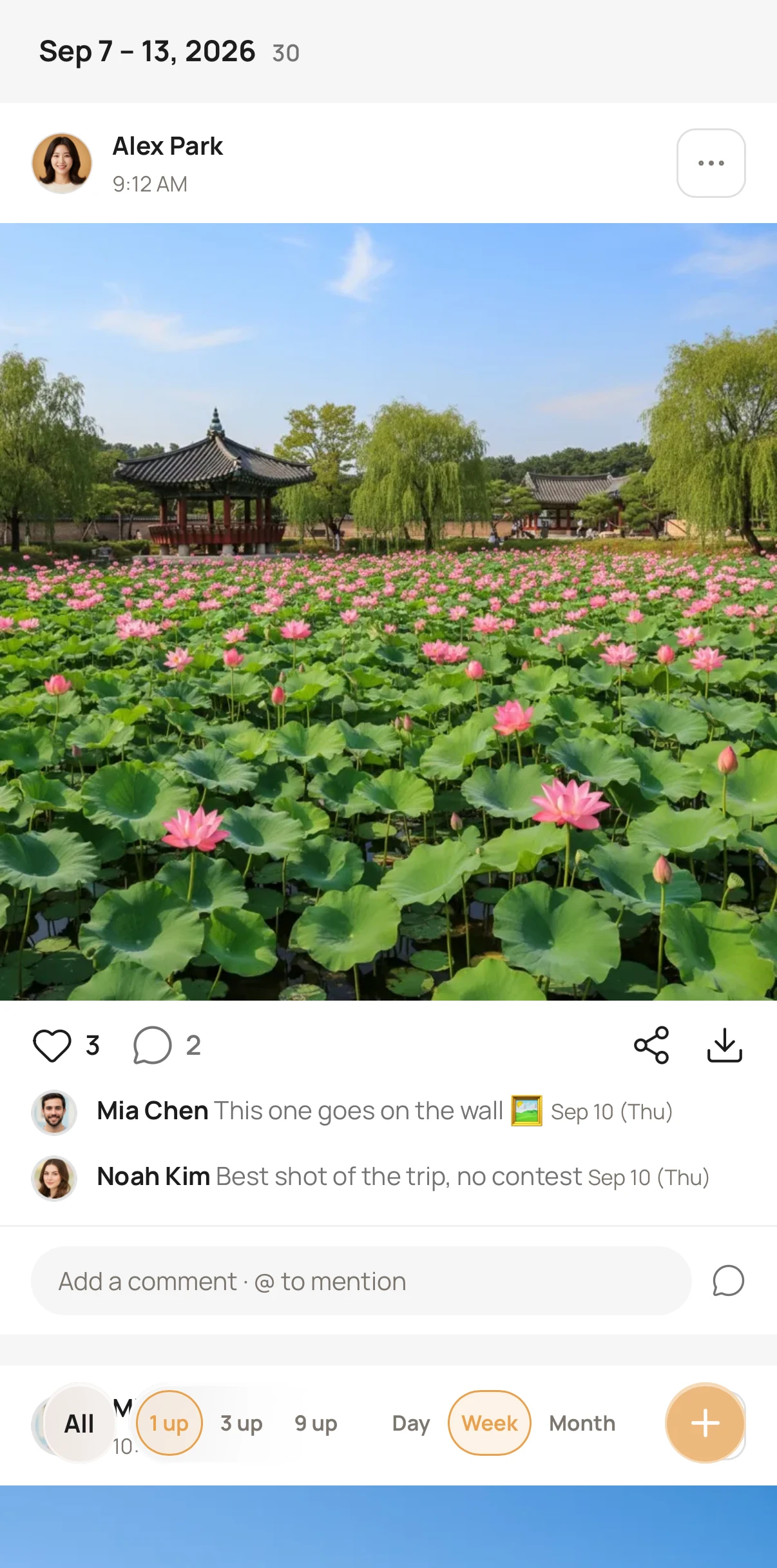 One photo — who added it and when, with likes and comments